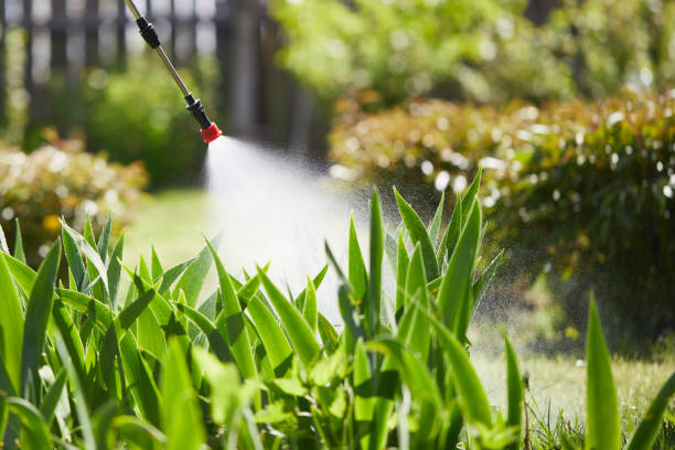 24/7 Emergency Wasp Removal experts in Bradford, RI
